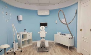 eliminar piojos en Logroño