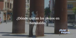 sacar piojos en barakaldo