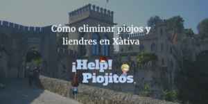 eliminar piojos en Jativa