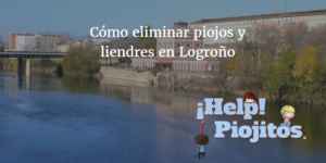 piojos en logroño