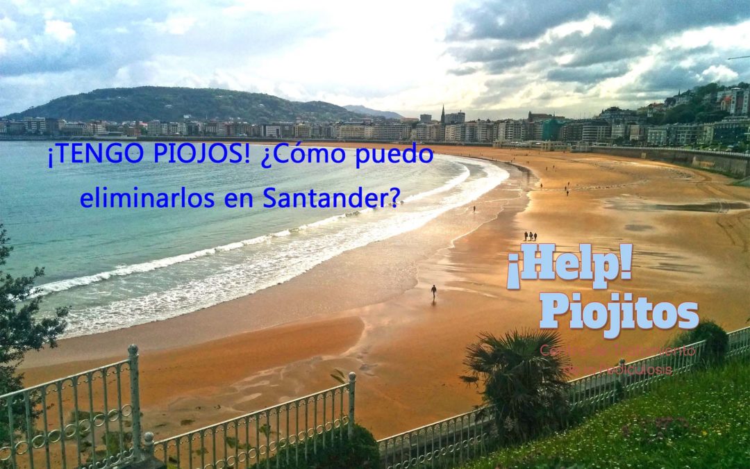 ¿Cuál es la mejor solución contra los piojos y liendres en Santander?