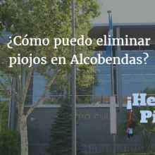 ¿Hay piojos y liendres en los colegios de Alcobendas?