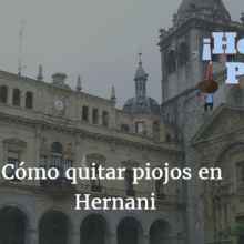 ¿Cómo puedo quitar piojos en Hernani? ¿Cuál es la mejor solución?