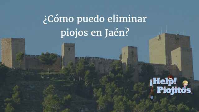 ¿Qué soluciones tenemos en Jaén para eliminar piojos?