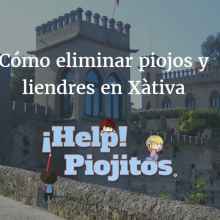 Vivo en Xàtiva y mi hijo tiene piojos. ¿Qué puedo hacer?