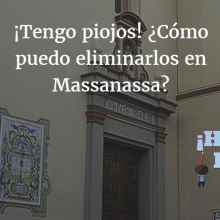 ¿Cuál es la mejor solución contra los piojos y liendres en Massanassa?