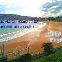 ¿Cuál es la mejor solución contra los piojos y liendres en Santander?