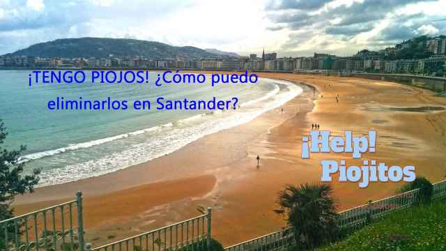 ¿Cuál es la mejor solución contra los piojos y liendres en Santander?