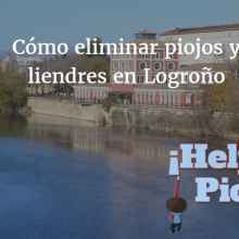 ¿Qué puedo hacer si tengo un problema de piojos y liendres en Logroño?