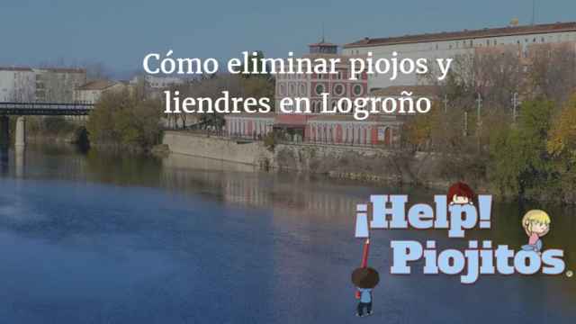 ¿Qué puedo hacer si tengo un problema de piojos y liendres en Logroño?
