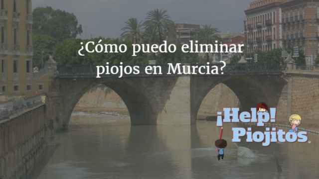 ¿Qué puedo hacer si tengo piojos en Murcia?