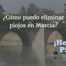 ¿Qué puedo hacer si tengo piojos en Murcia?